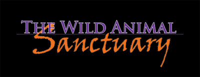 Wild Animal Sanctuary